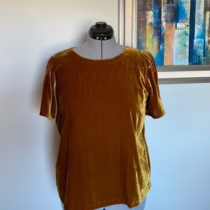 Ann Taylor Loft Velour Top